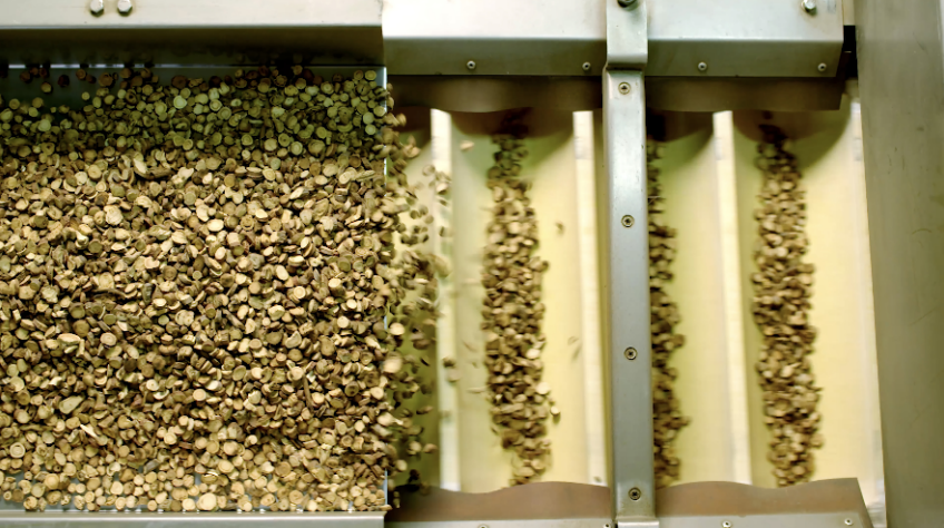 MG不朽情缘(中国区)官网首页